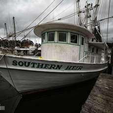 The Southern Heir in Port