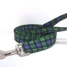 Plaid Leash