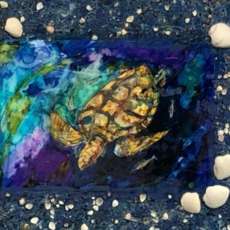 Sea Turtle With Shells