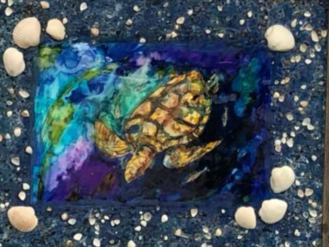 Sea Turtle With Shells