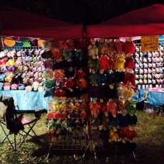 2017 Goats Music and More (Lewisburg, Tn)