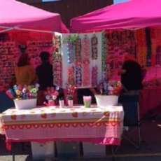 2017 Middle Tennessee Strawberry Festival (Portland, Tn)