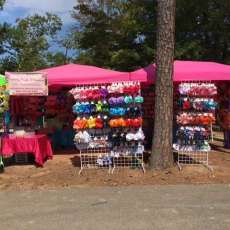 2017 Fairview Nature Fest (Fairview, Tn)