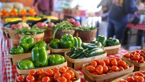 Grand Prairie Farmers Market - May