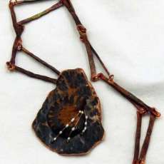 The Ammonite in the Strata Necklace