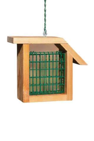 Hanging Suet Feeder