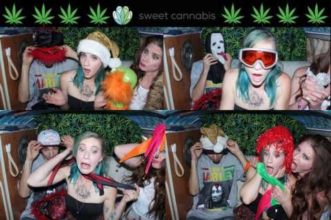 Sweet Cannabis