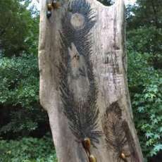 Woodburnt Driftwood Pieces ♡