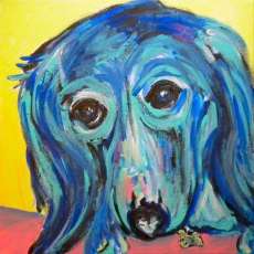 Long Haired Dachsund