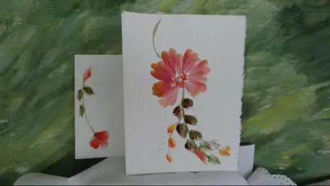 Maureen Lacey Maureen Lacey