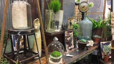 Junk Jubilee Jingles Market Junk Jubilee Jingles Market