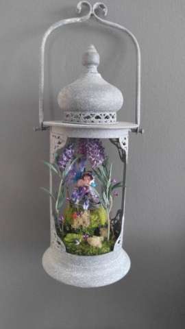 Fairy Lantern