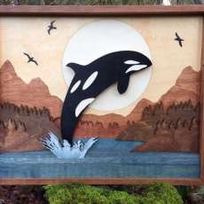 Orca