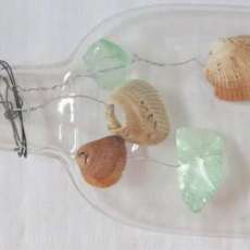 Shells and Sea Glass