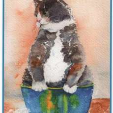 Fat Cat in a Bowl