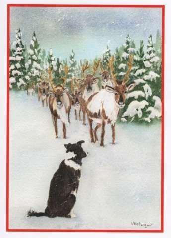 Christmas Border Collie