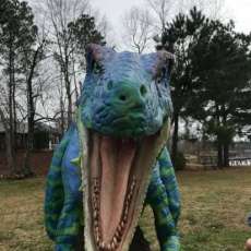 Look at All Those Teeth