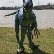 Smile For the Camera