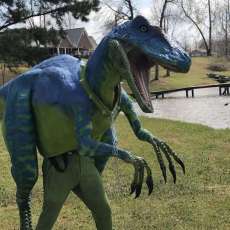 Come Pet Her, She Is Friendly