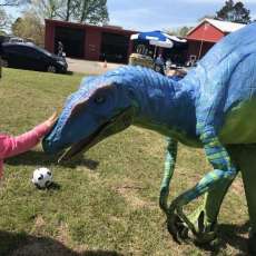 Taming the Beast 😎