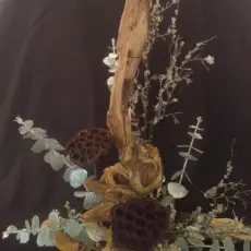 Lotus & Eucalyptus on Driftwood