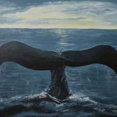 Whale Tale