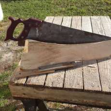 Hand Cutting Magnolia Stock