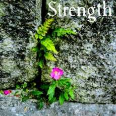 Strength