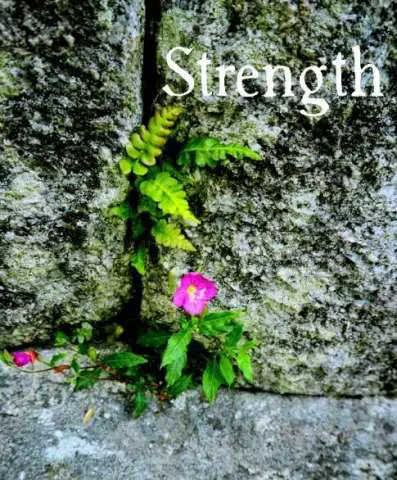 Strength