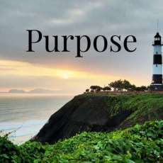 Purpose