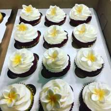 Plumeria Cupcakes