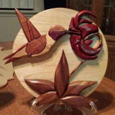 Intarisa Humming Bird