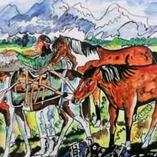 Pack Horses