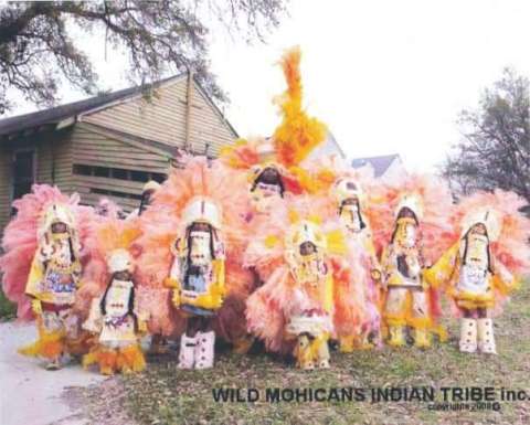 Wild Mohicans Mardi Gras Indian Tribe