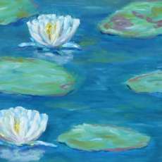 Water Lillies