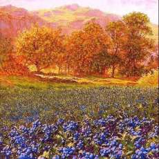 Blueberry Fields