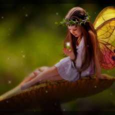 Fairy