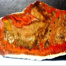 Leslie McCaleb-Dillon