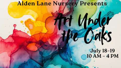 Art Under the Oaks