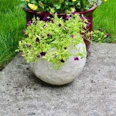 Garden Bowl