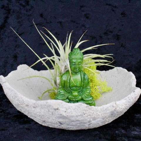 Bowl With Buddha and Airplant