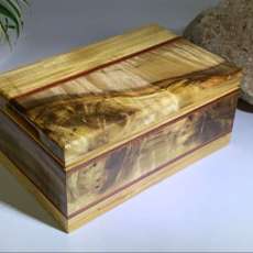 Myrtle Wood 7 Pirmavera