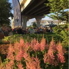 Meet Me Under the Bridge Summer Concert Series