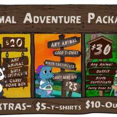 Stuffed Animal Adventure Packages