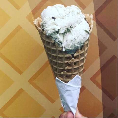 Mint Chocolate Chip