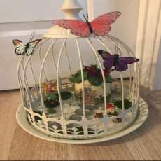 Fairy Bird Cage