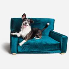 Med. Churchill Lounger Teal