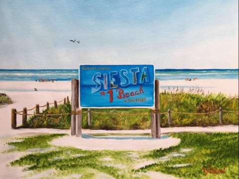 Siesta Key #1 Beach