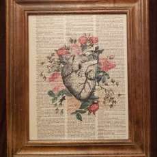 Anatomical Heart Framed Print