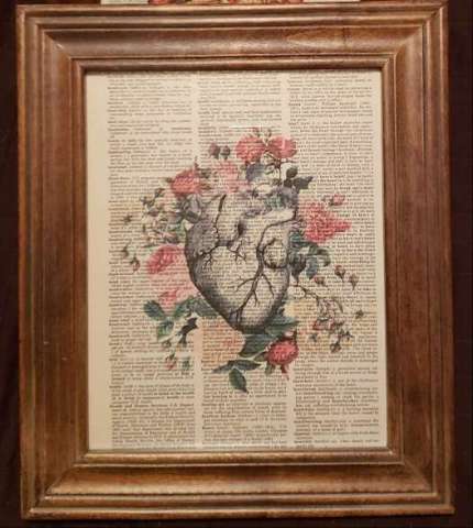 Anatomical Heart Framed Print